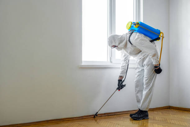 Pest Control Cost in Ocean Acres, NJ